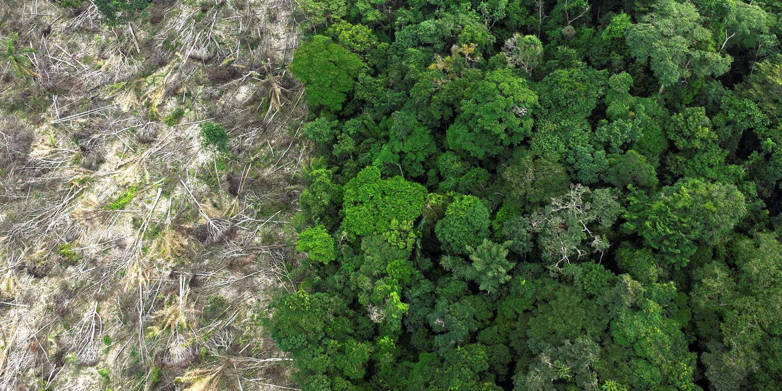 Fundo Amazônia vai investir R$ 825 milhões em ações do Ibama