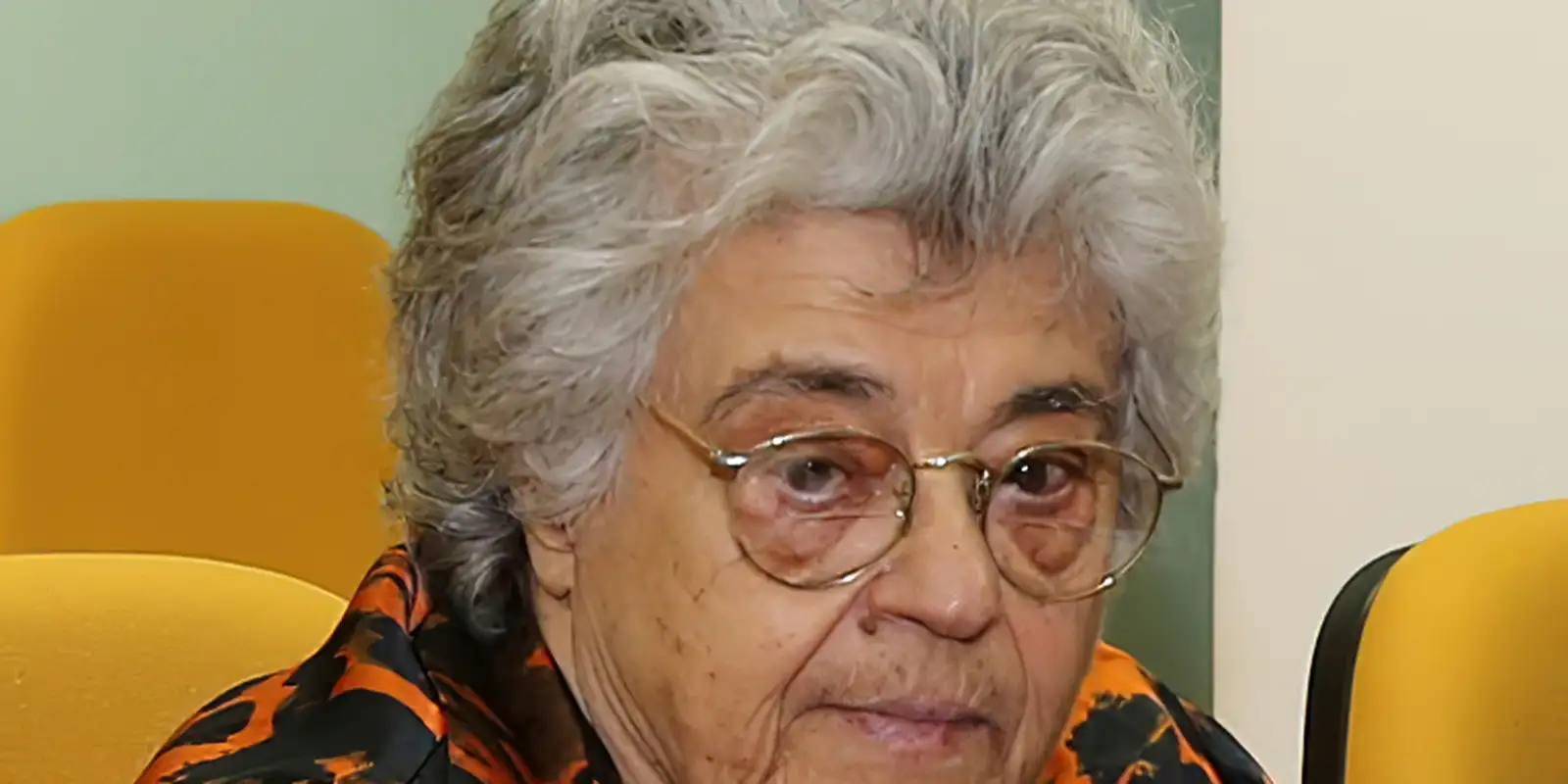Viva Maria presta homenagem a Nièdi Guidon