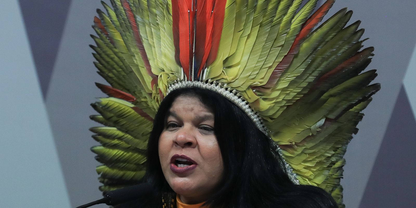 No dia do Meio Ambiente, Sonia Guajajara critica “PL da Devastação”