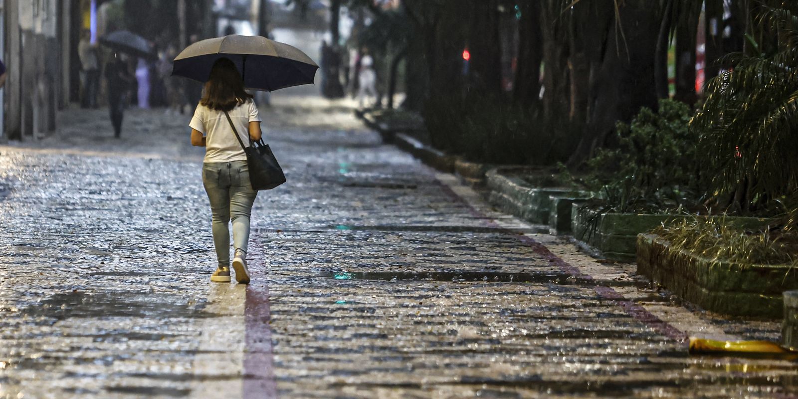 Terça e quarta devem ser dias chuvosos na região Norte, aponta Inmet