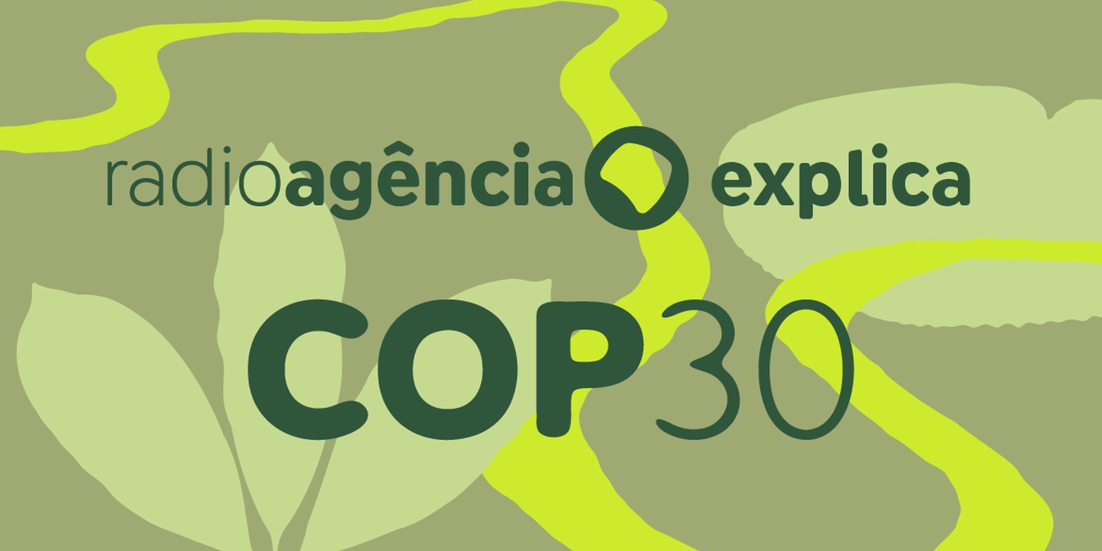 Entenda o que é a COP30 e como ela é importante para o planeta