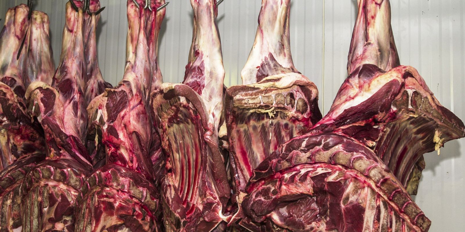 Brasil assume em 2025 a liderança mundial na produção de carne bovina