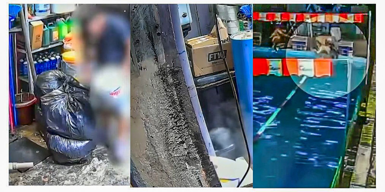 SP: polícia indicia 3 sócios de academia da zona leste por homicídio