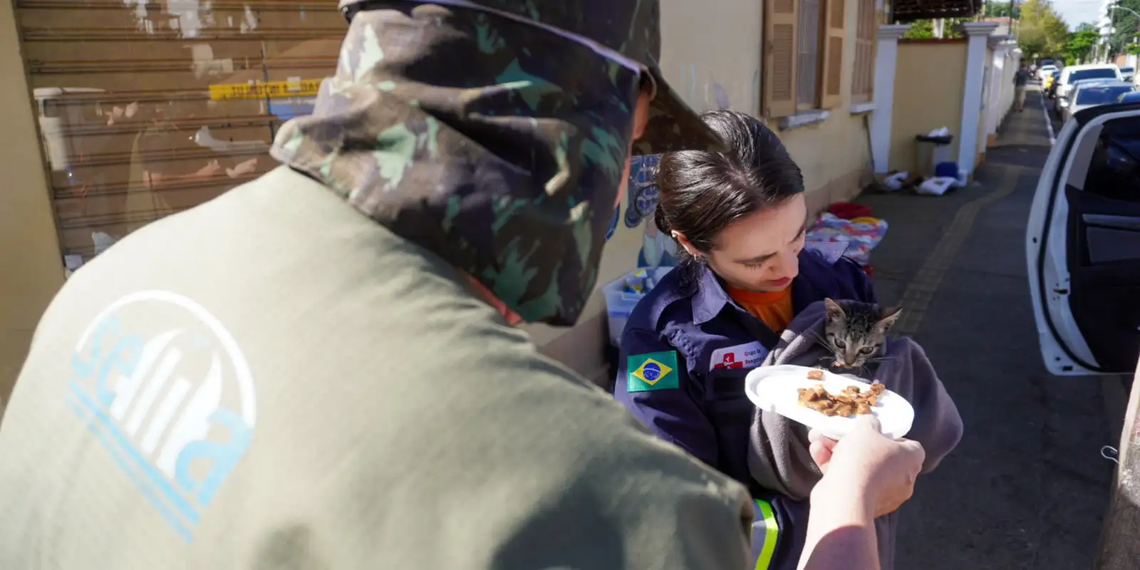 Sancionada lei que obriga manejo de animais em desastres naturais