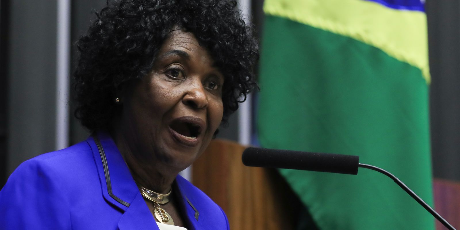 Reserva de cadeiras no Legislativo pode aumentar participação feminina