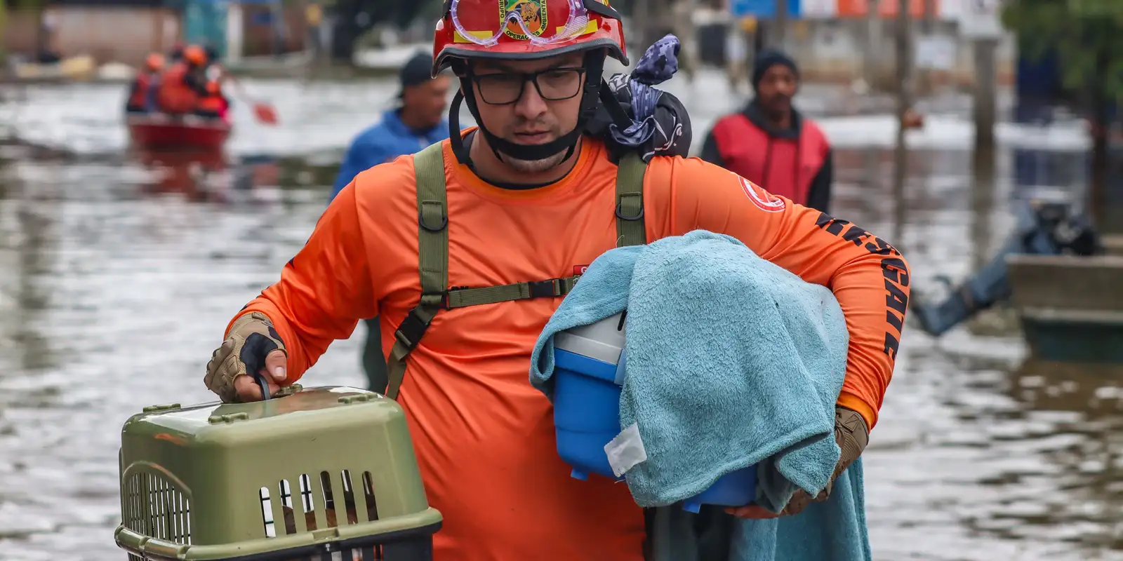 Lula sanciona lei para proteção de animais afetados por desastres