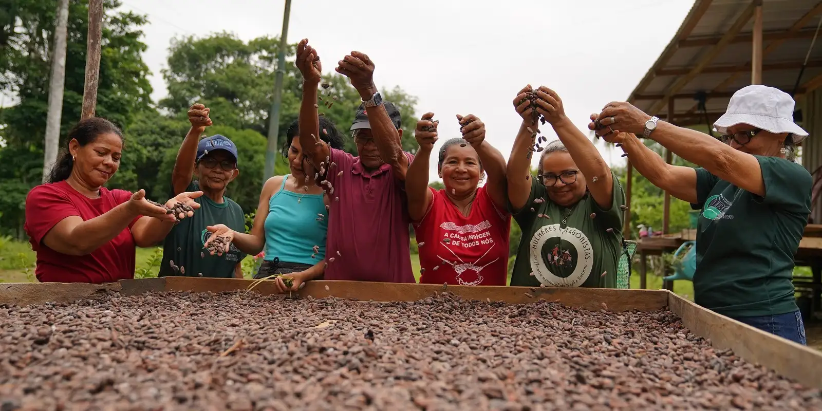 No Amazonas, associação de mulheres produz chocolate orgânico