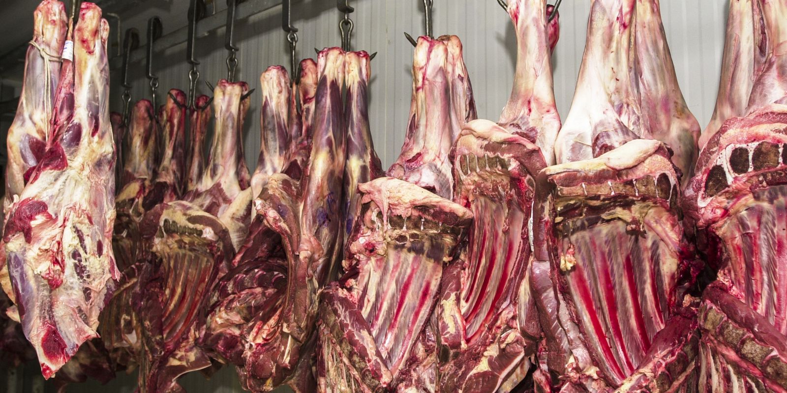 União Europeia anuncia proibição de importação de carne brasileira