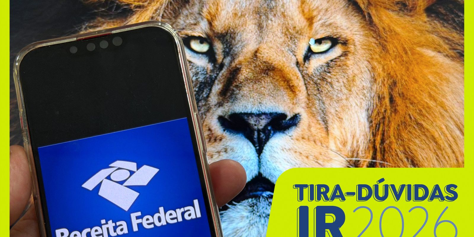 Saiba como declarar poupança, renda fixa e variável no IR