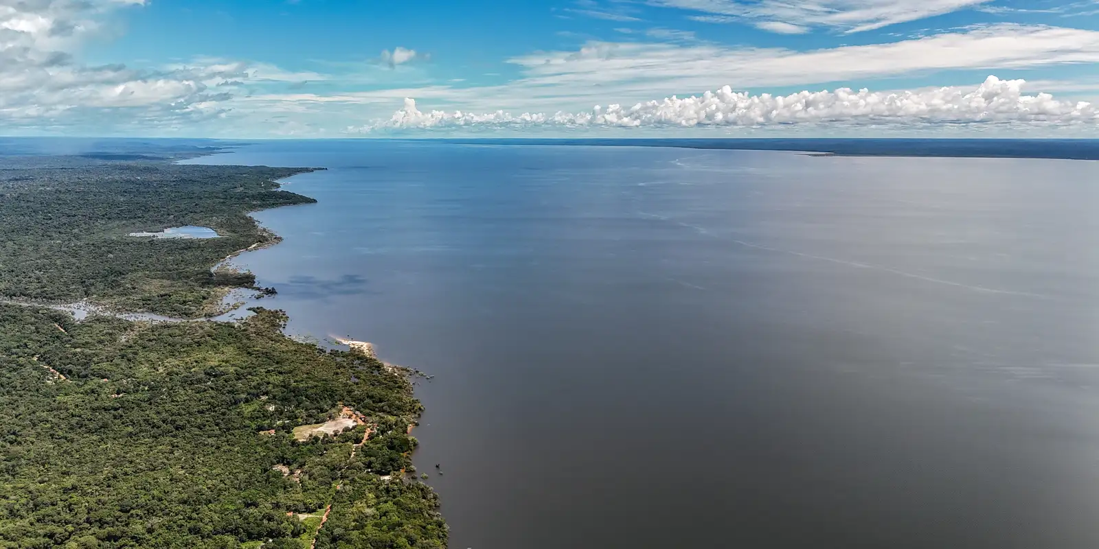 Dia do Meio Ambiente reforça importância de ações sustentáveis no país