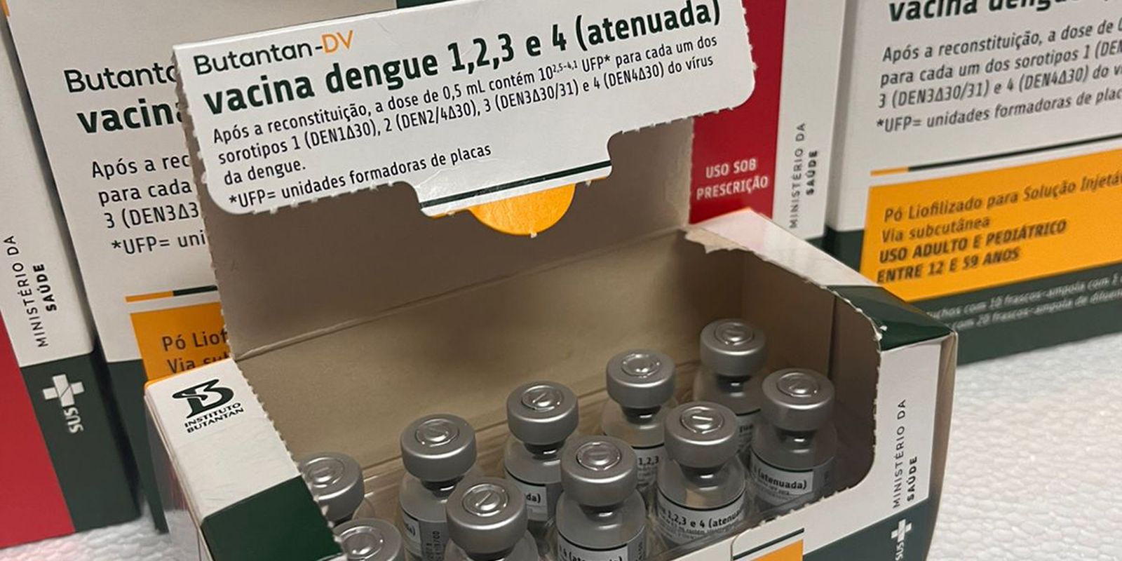 Viva Maria reforça decisão sobre o uso da vacina contra a dengue