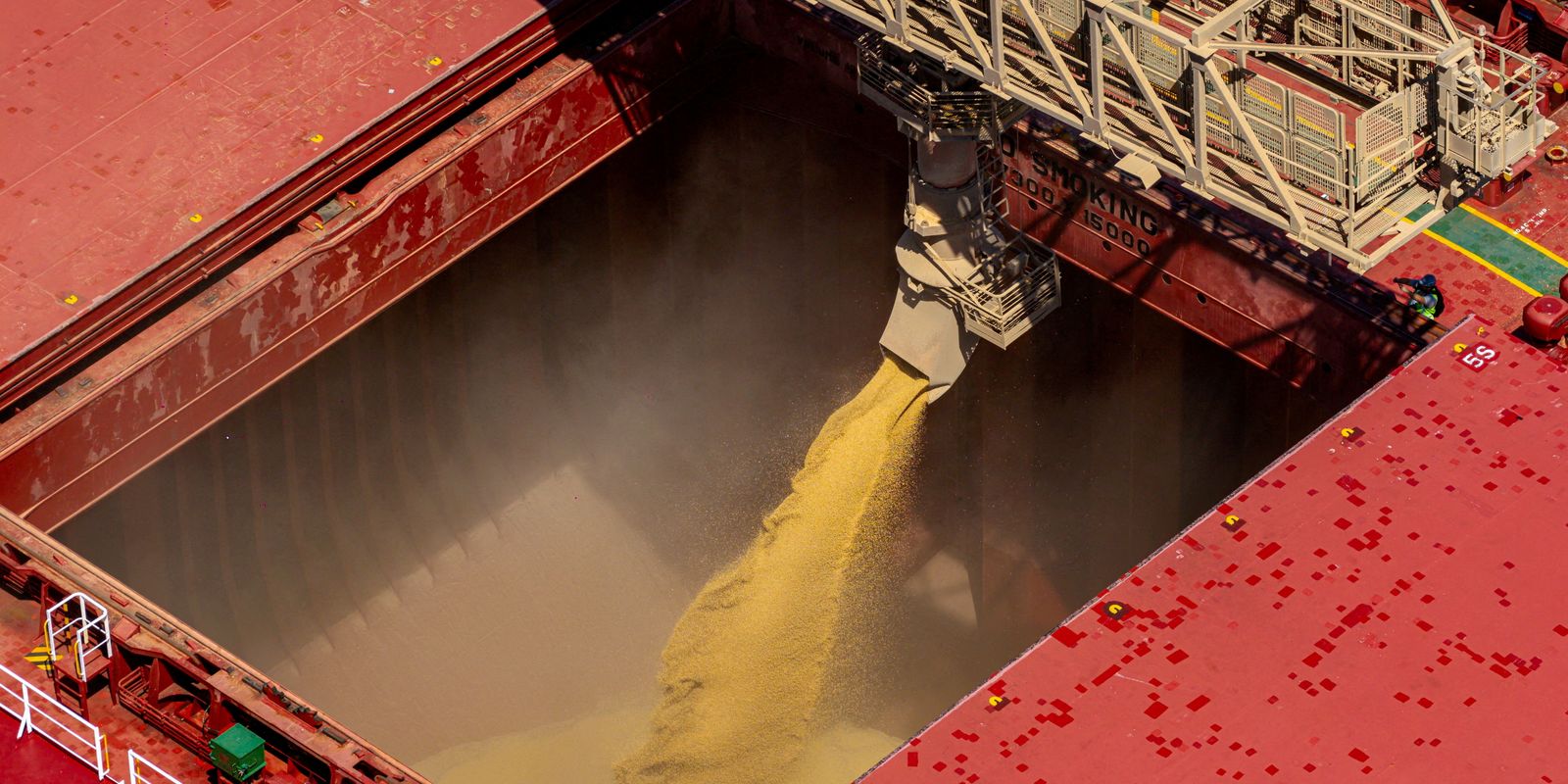 Safra de grãos 2025/2026 deve apresentar alta de 2,2%, aponta Conab