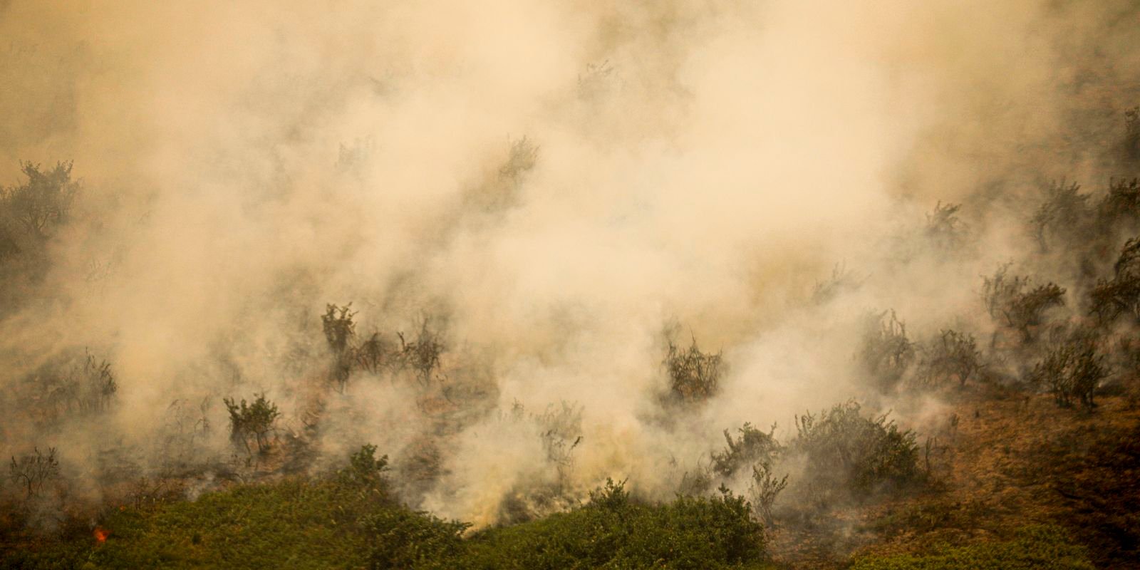 MG: principal foco de incêndio em Terra Indígena Maxakali é controlado