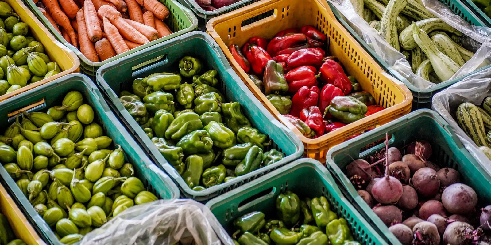 Dia Mundial da Alimentação: inovação pode garantir nutrição no futuro