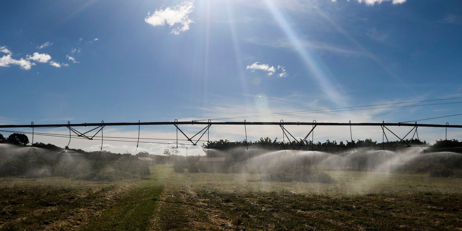 IBGE lança plataforma para auxiliar Censo Agropecuário e Florestal